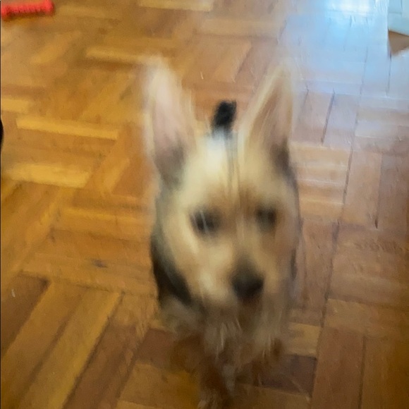 Meet your Posher, Kevin - Picture 1 of 1